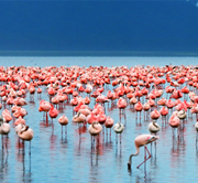 East Africa Zanzibar Itinerary