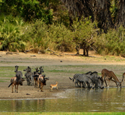East Africa Tanzania