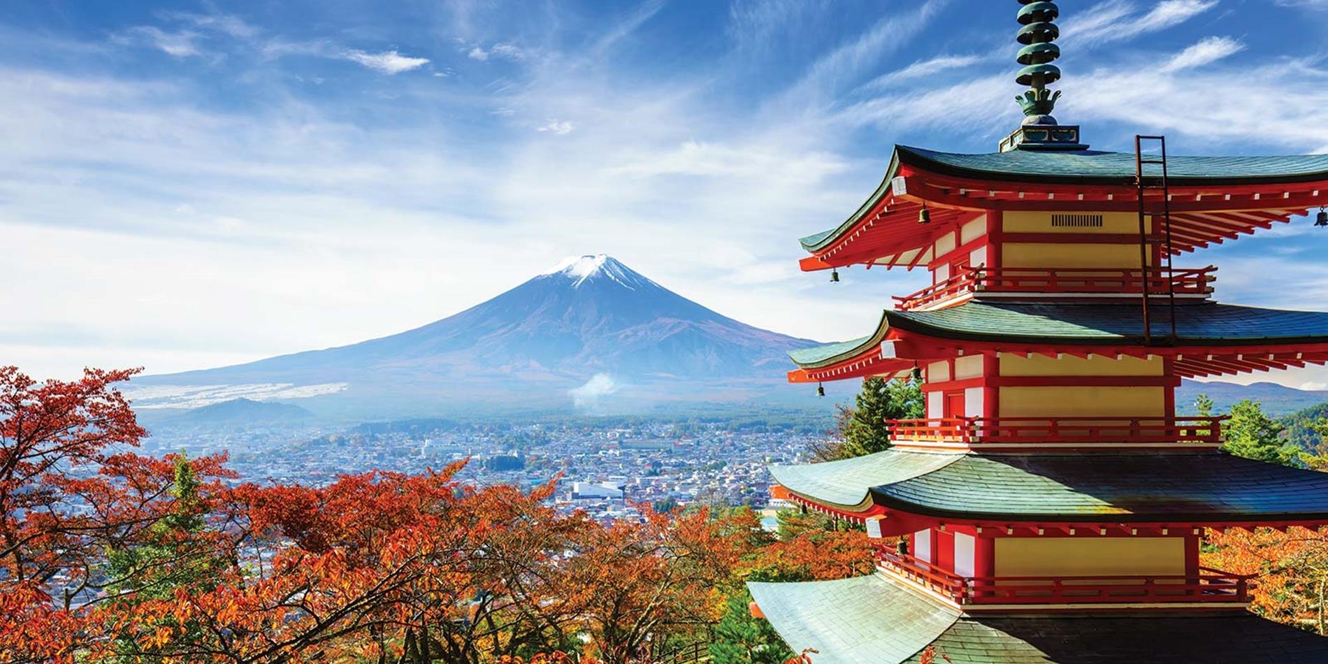05 Nights / 06 Days Packages